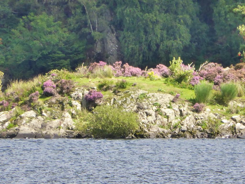 Glenridding House Otel Oda fotoğraf